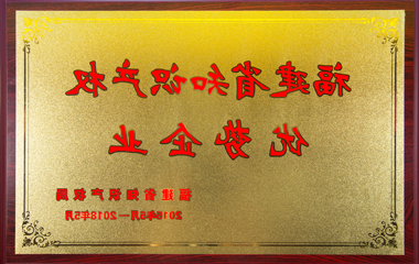 Fujian intellectual Property certificate